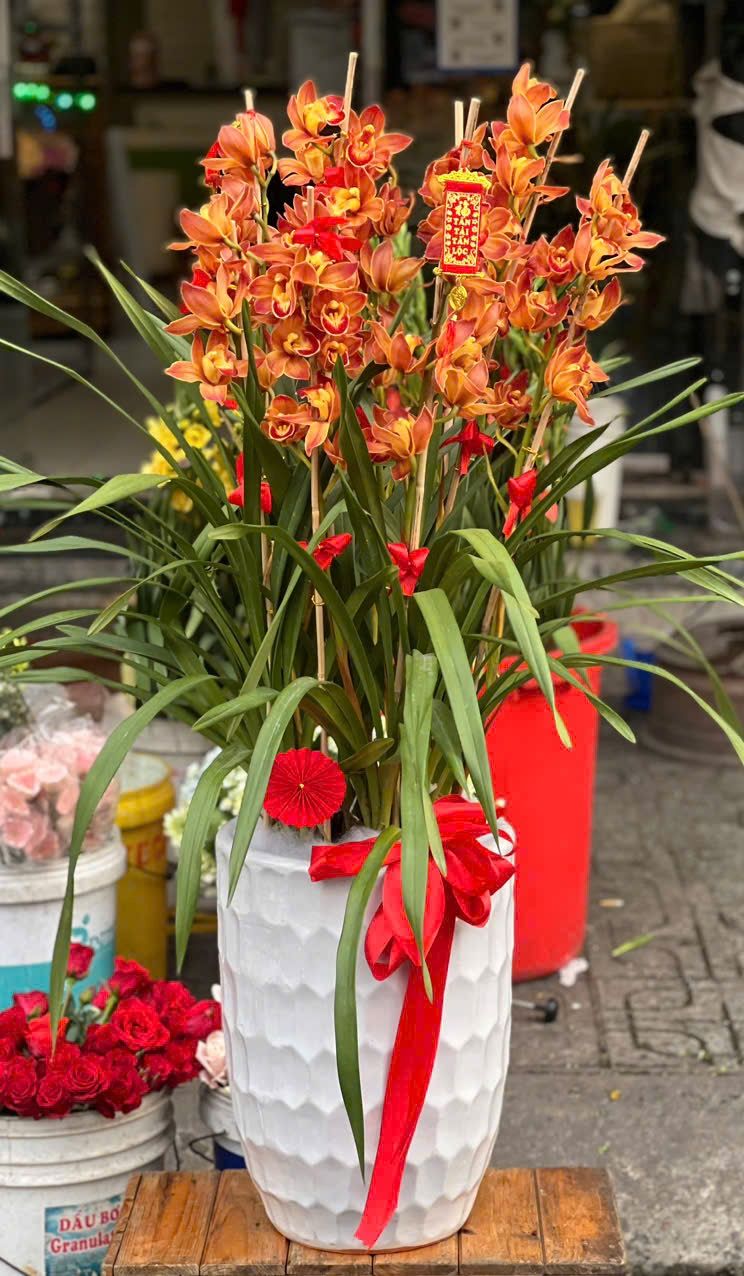 Bình Hoa Địa Lan Cam Lửa - HCB71
