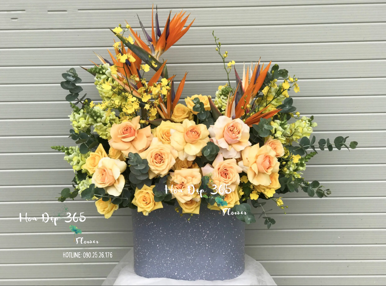 Hộp Hoa Chúc Mừng - HCH107