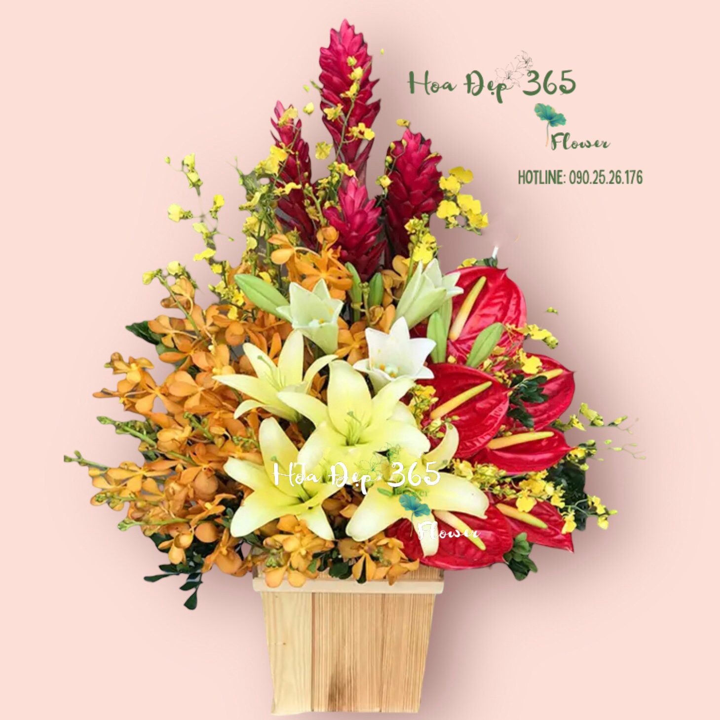 Sự Sống - HCH39