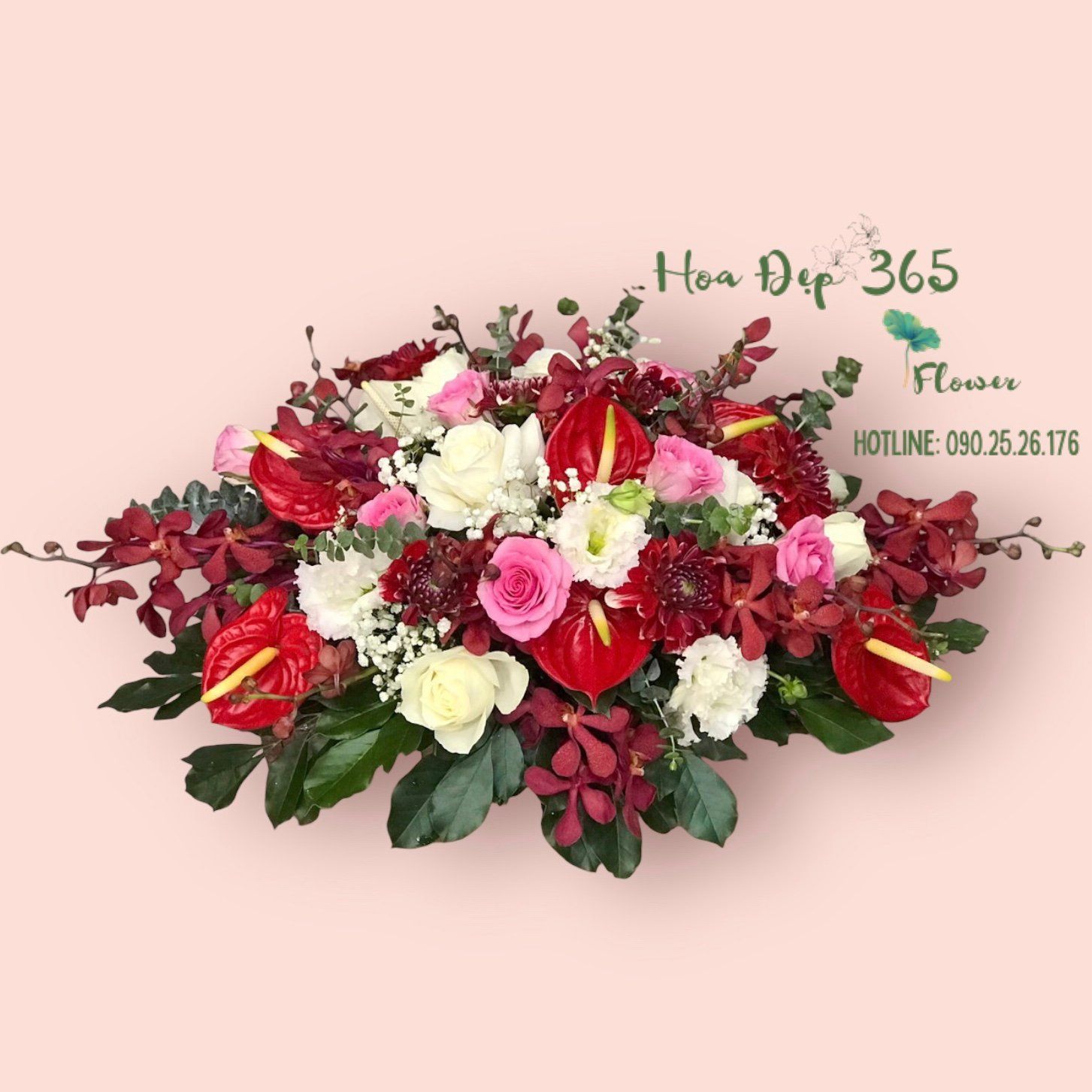 Hoa Để Bàn - Ovan 17