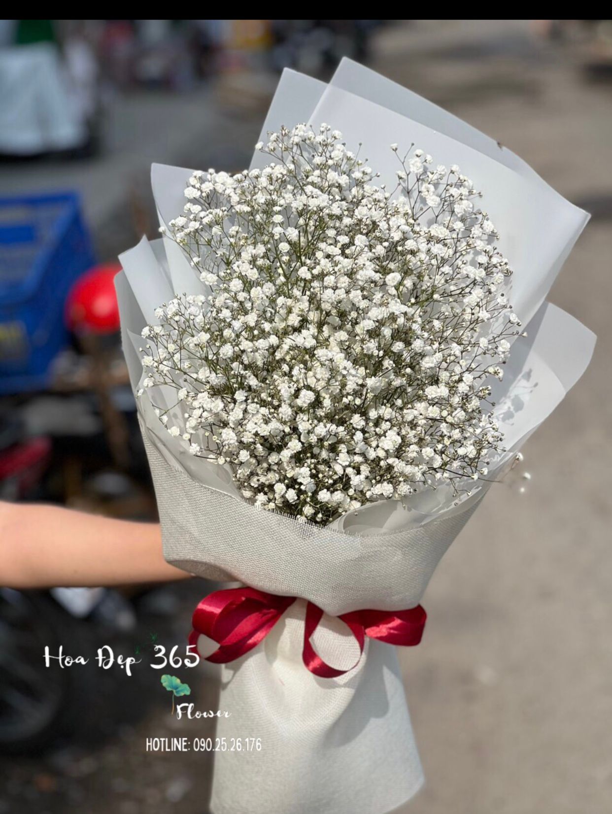 Rustic - HBD230 - Hoa 8/3