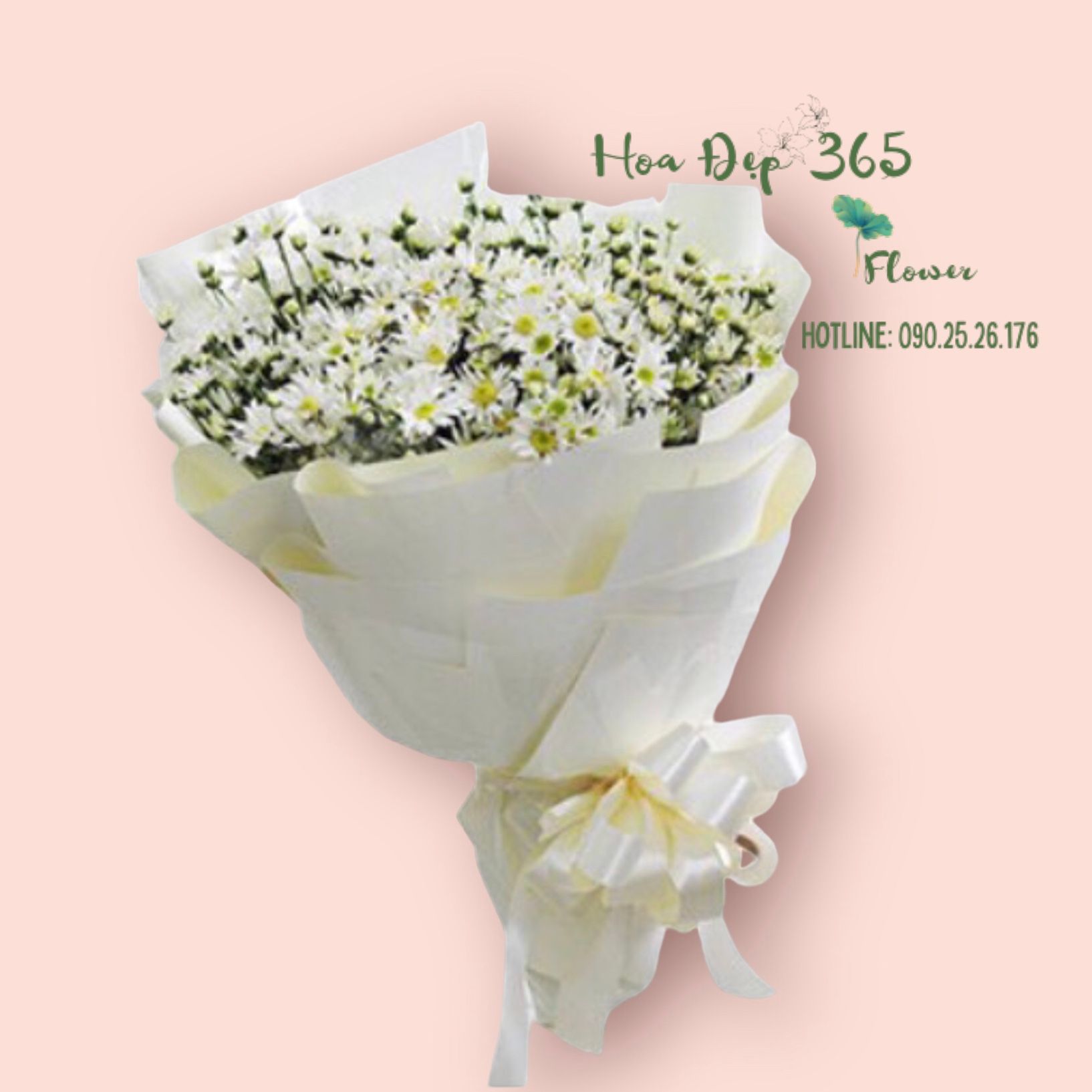  Bó Hoa Cúc Hoạ Mi - HBT52 