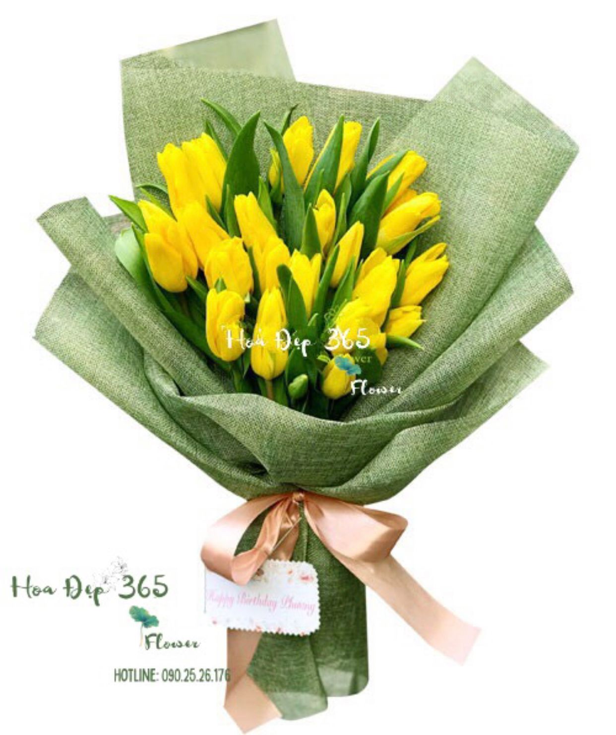 Tulipa Vàng - HBD189 - Hoa 8/3