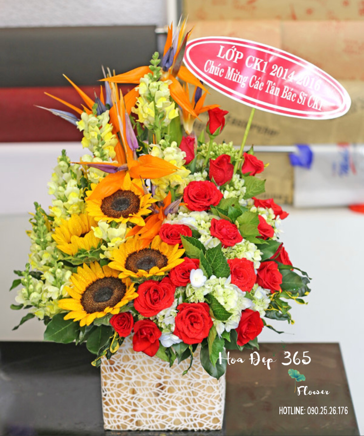 Tình Yêu Màu Nắng - HCH42