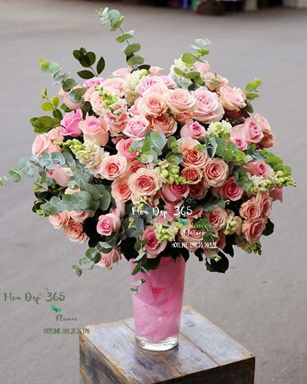 For Lady - HCB14
