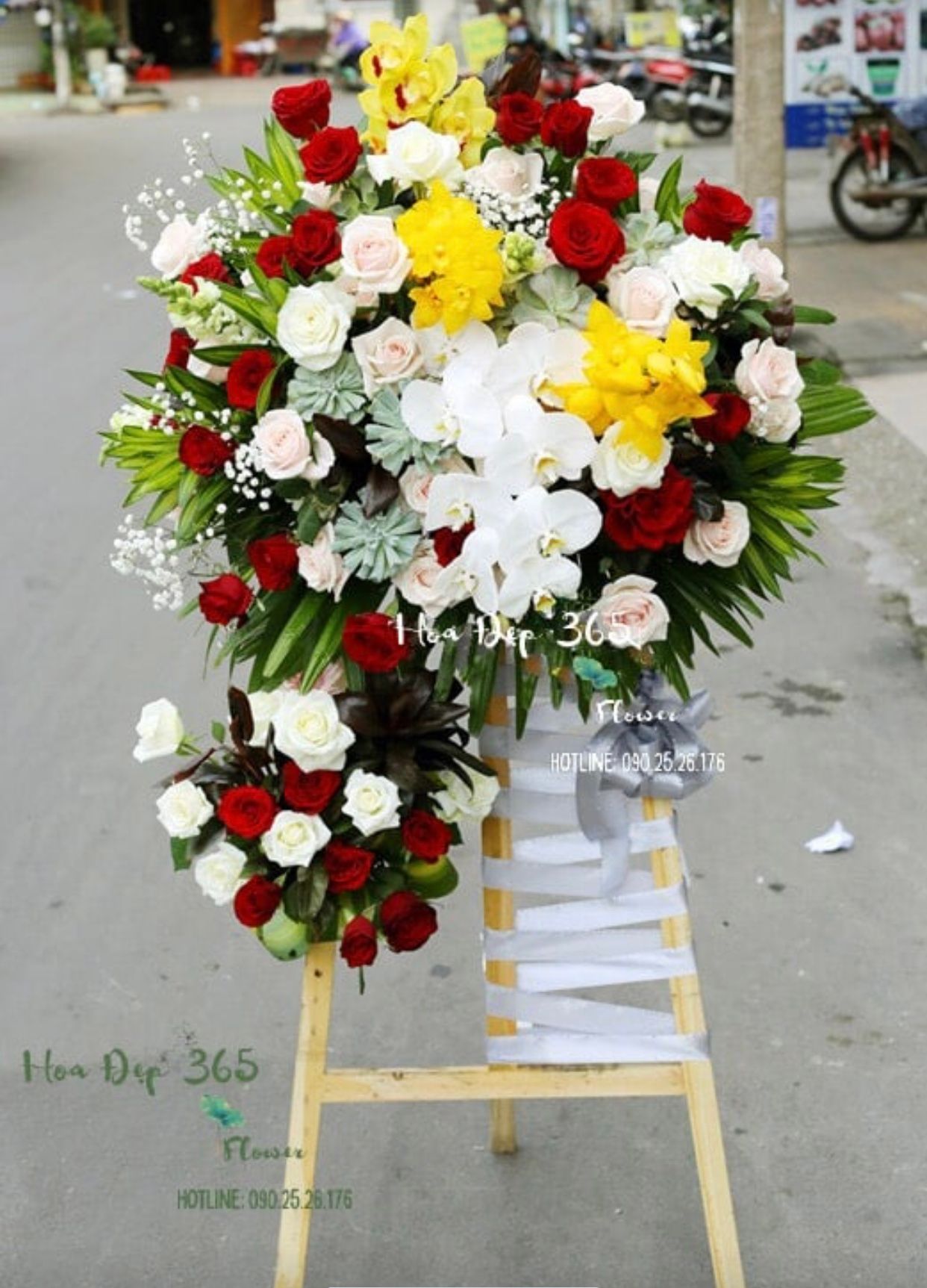 Summer Shine - GT20 - Kệ Hoa Khai Trương