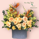  Hộp Hoa Chúc Mừng - HCH107 