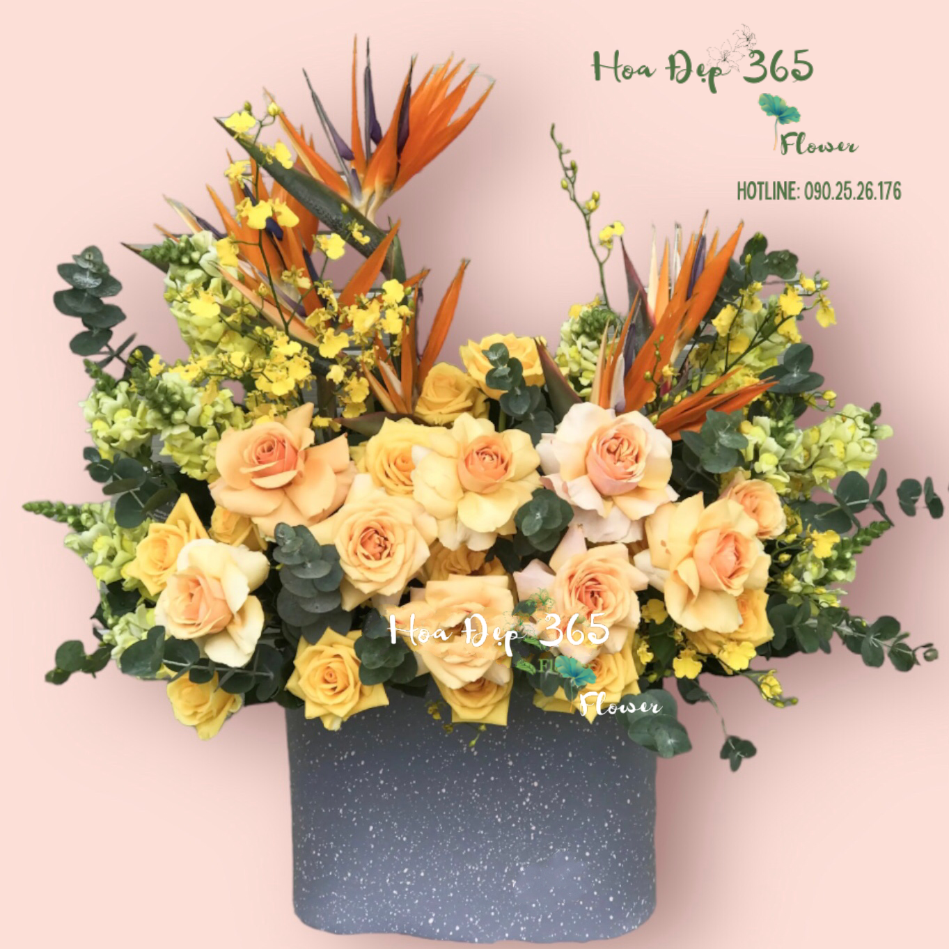 Hộp Hoa Chúc Mừng - HCH107