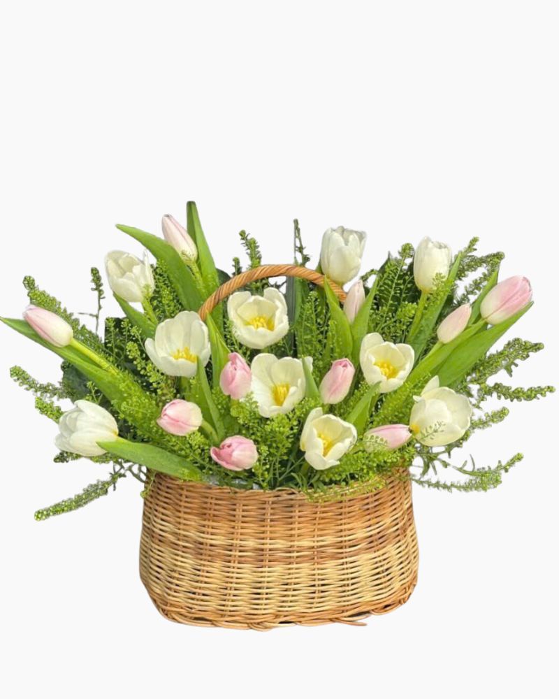 Giỏ Hoa Tươi Tulip Mix Màu - HG63
