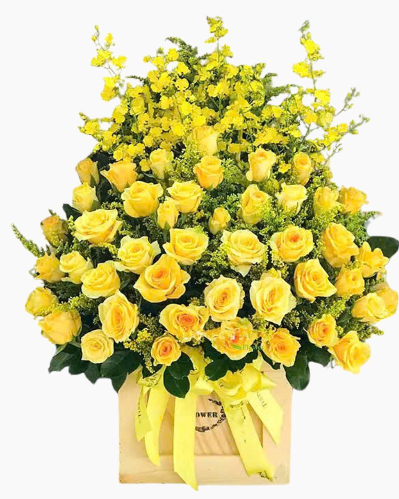 Hộp Hoa Hồng Vàng - HCH109