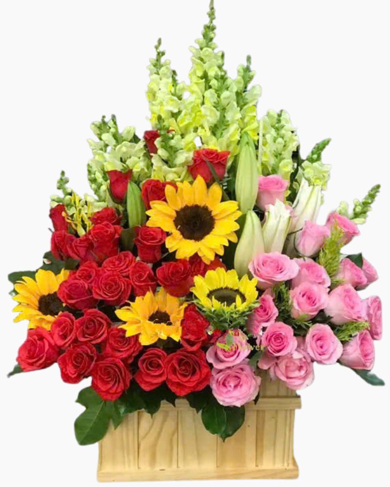 Hộp Hoa Để Bàn Khai Trương Sunny - HCH73