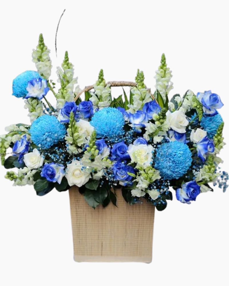 Giỏ Hoa Khai Trương Sức Sống - HG30