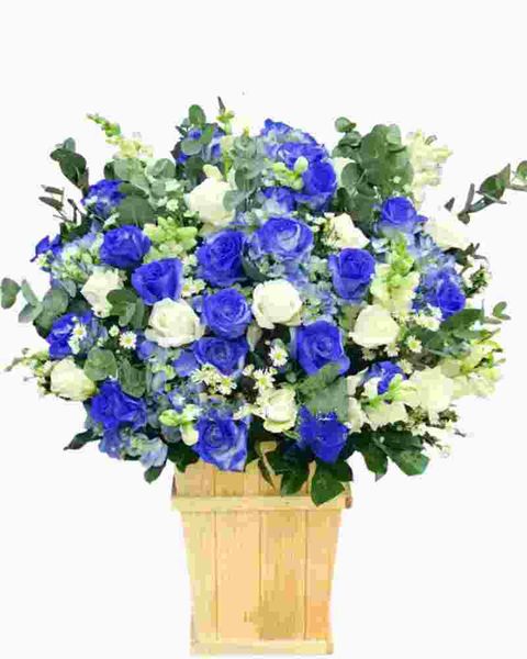 Hộp Hoa Khai Trương Để Bàn Xanh Biển - HCH55