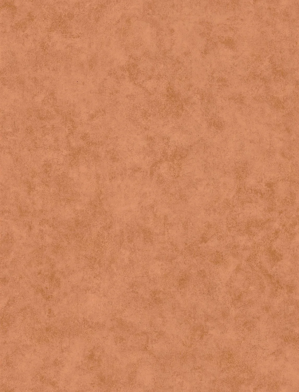 COL 4898516566