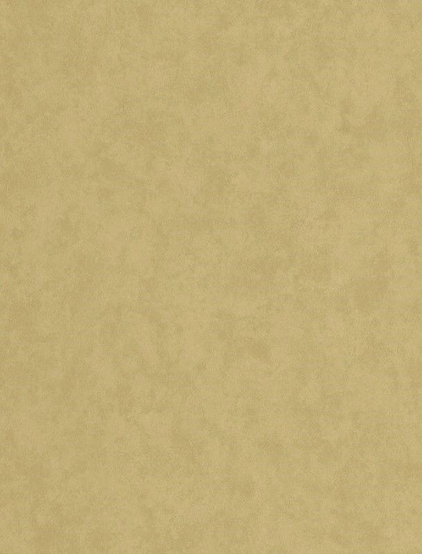 EH 410142687