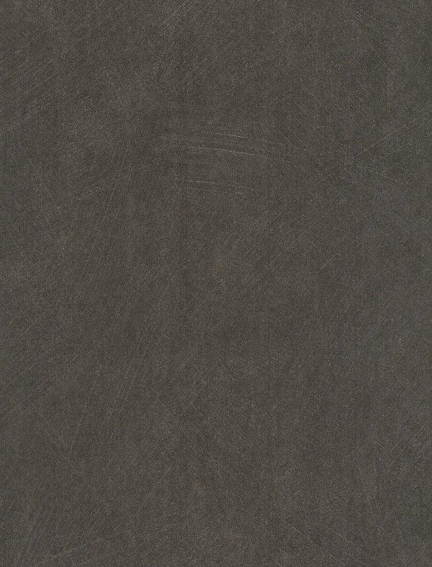 NST 498990091