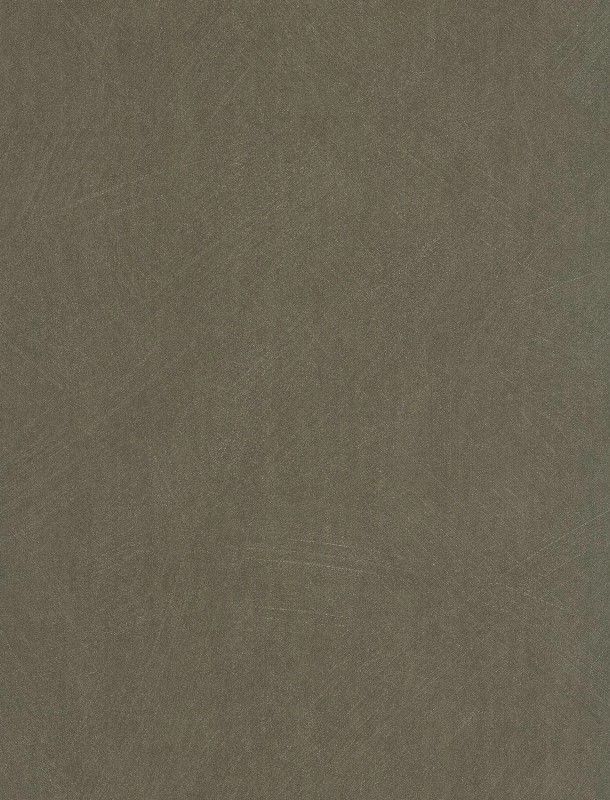 NST 498990283