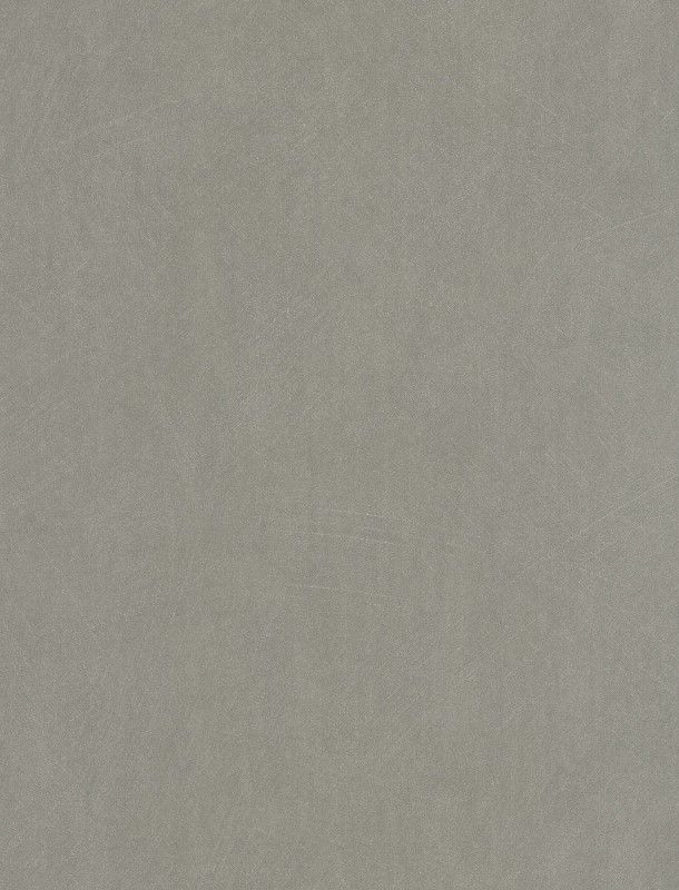 NST 498990596