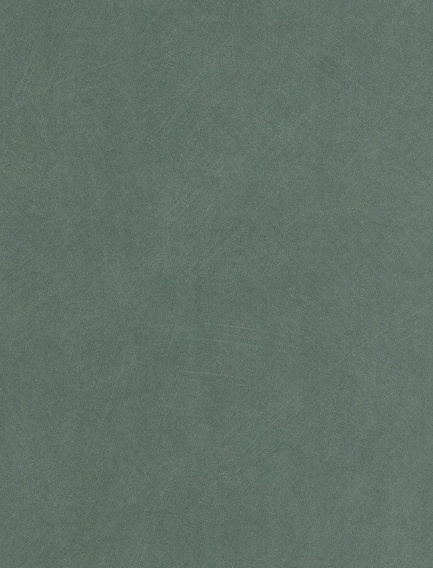 NST 498992021