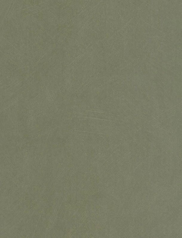 NST 498992182