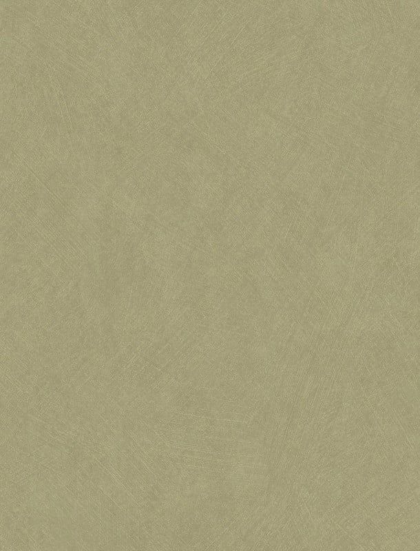 NST 498992495