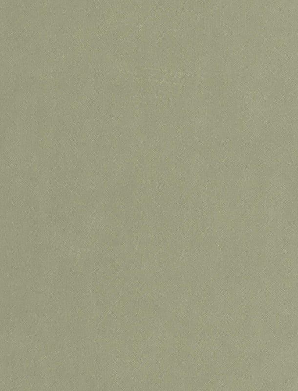 NST 498992526