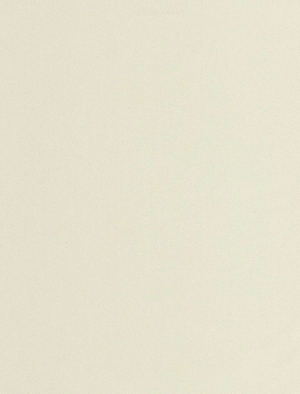 NST 498992923