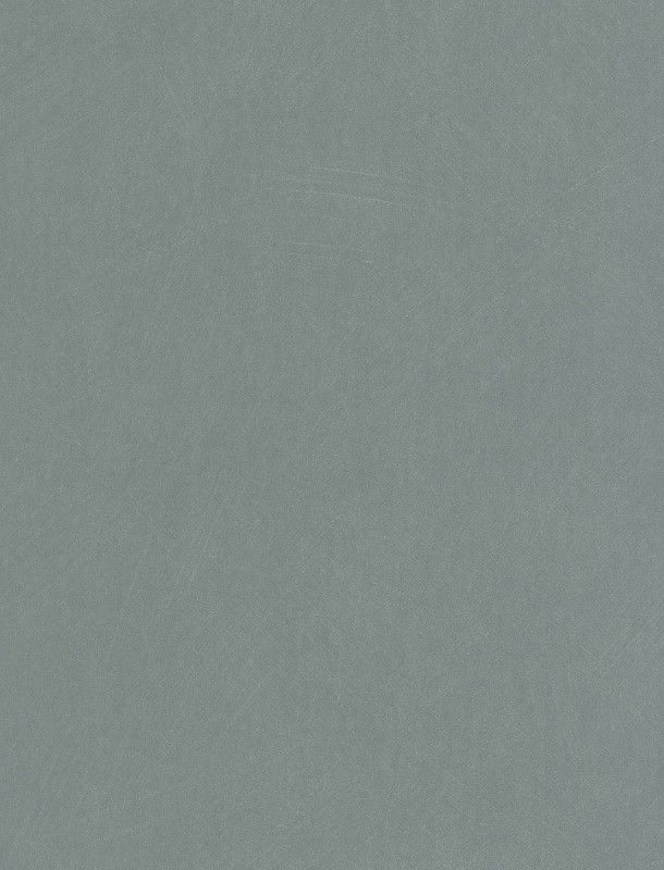 NST 498993536