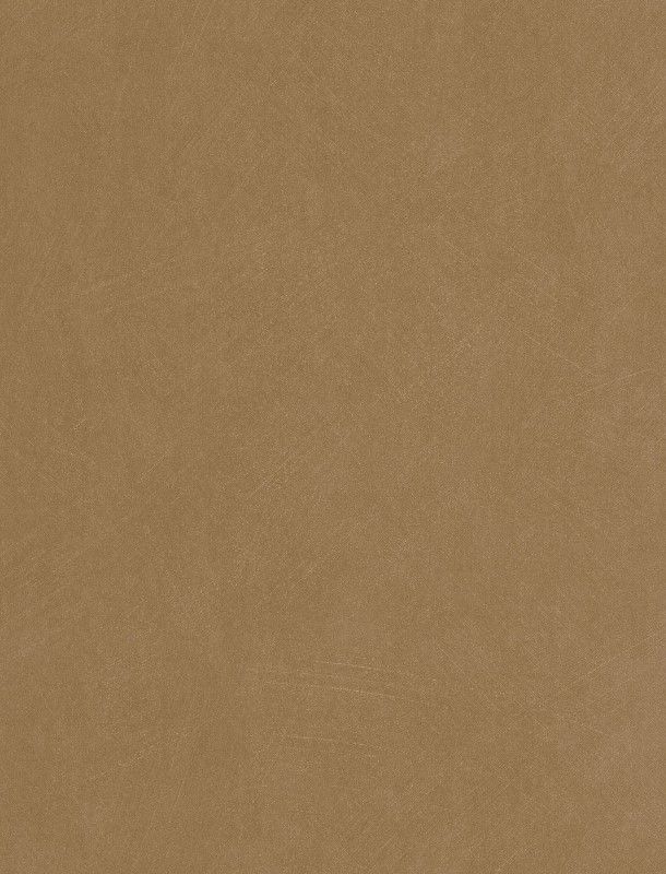 NST 498997475