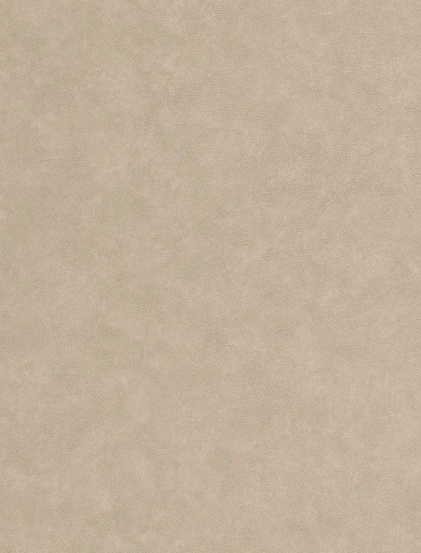 SES 498508182