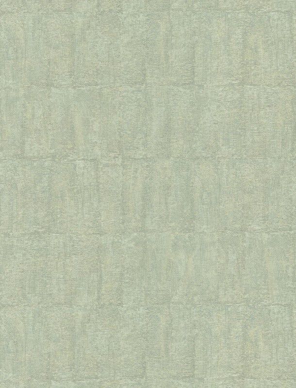 TC 423908676