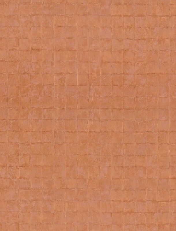 TC 423919492