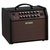 Boss Singer Live LT Acoustic Amplifier