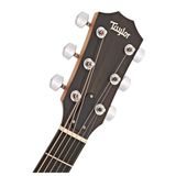Đàn Guitar Taylor 114E Acoustic