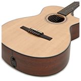 Đàn Guitar Taylor 312CEN Classic