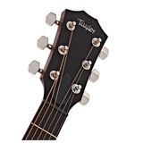 Đàn Guitar Taylor AD17E Blacktop Acoustic