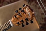 Đàn Guitar Washburn Vite S9V EQ Bella Tono Acoustic