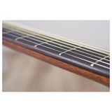 Đàn Guitar Yamaha AC5M Acoustic