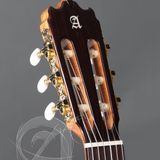 Đàn Guitar Alhambra Iberia Ziricote Classic