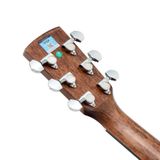 Đàn Guitar Saga SA800C Acoustic w/Bag