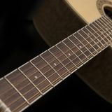 Đàn Guitar Washburn Harvest D7S Acoustic