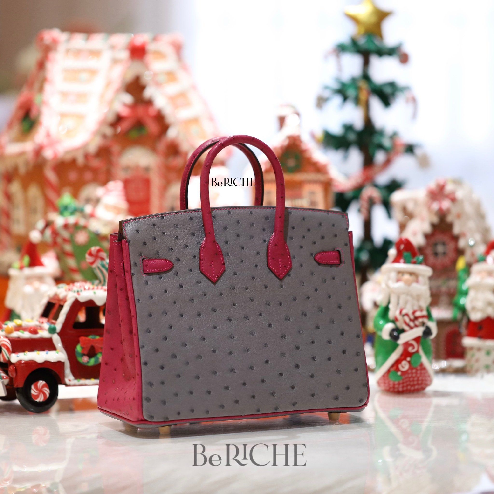 Birkin B25 Ostrich Bicolor HSS