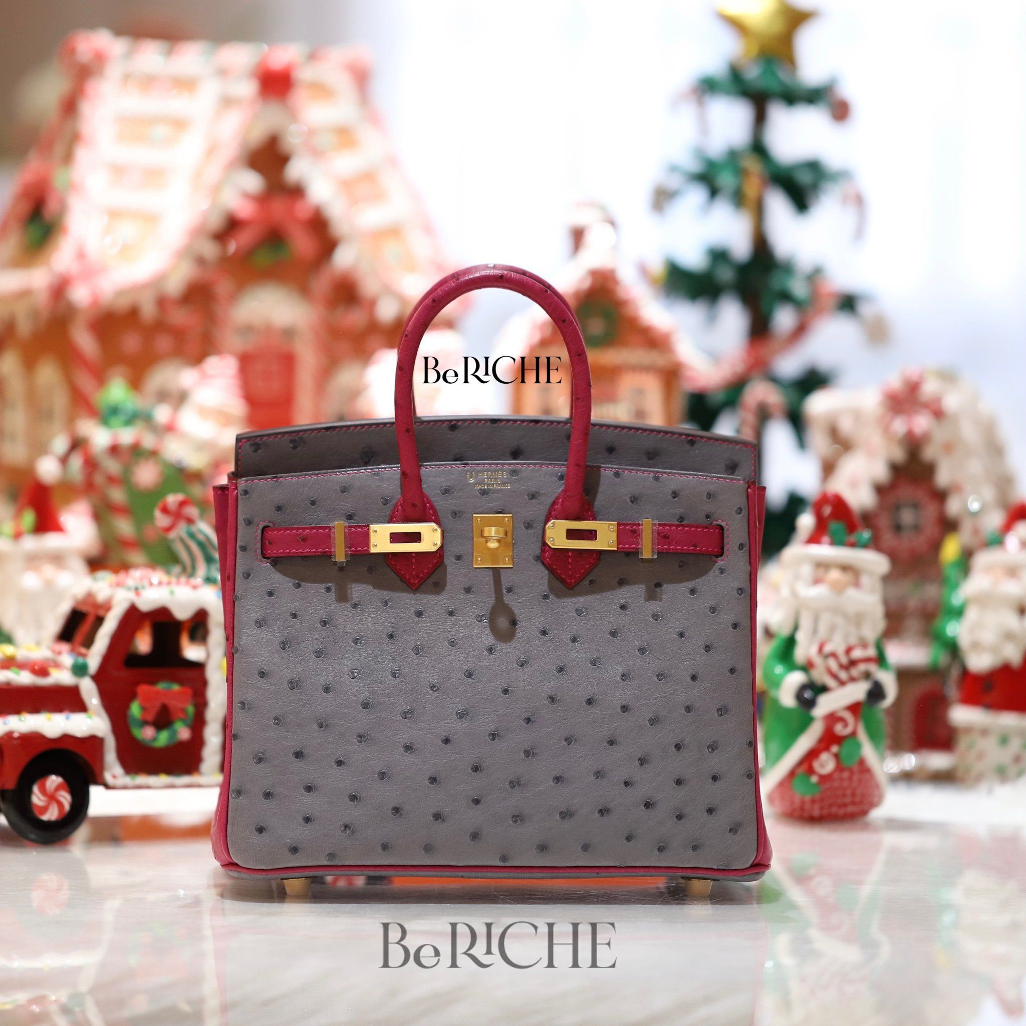 Birkin B25 Ostrich Bicolor HSS