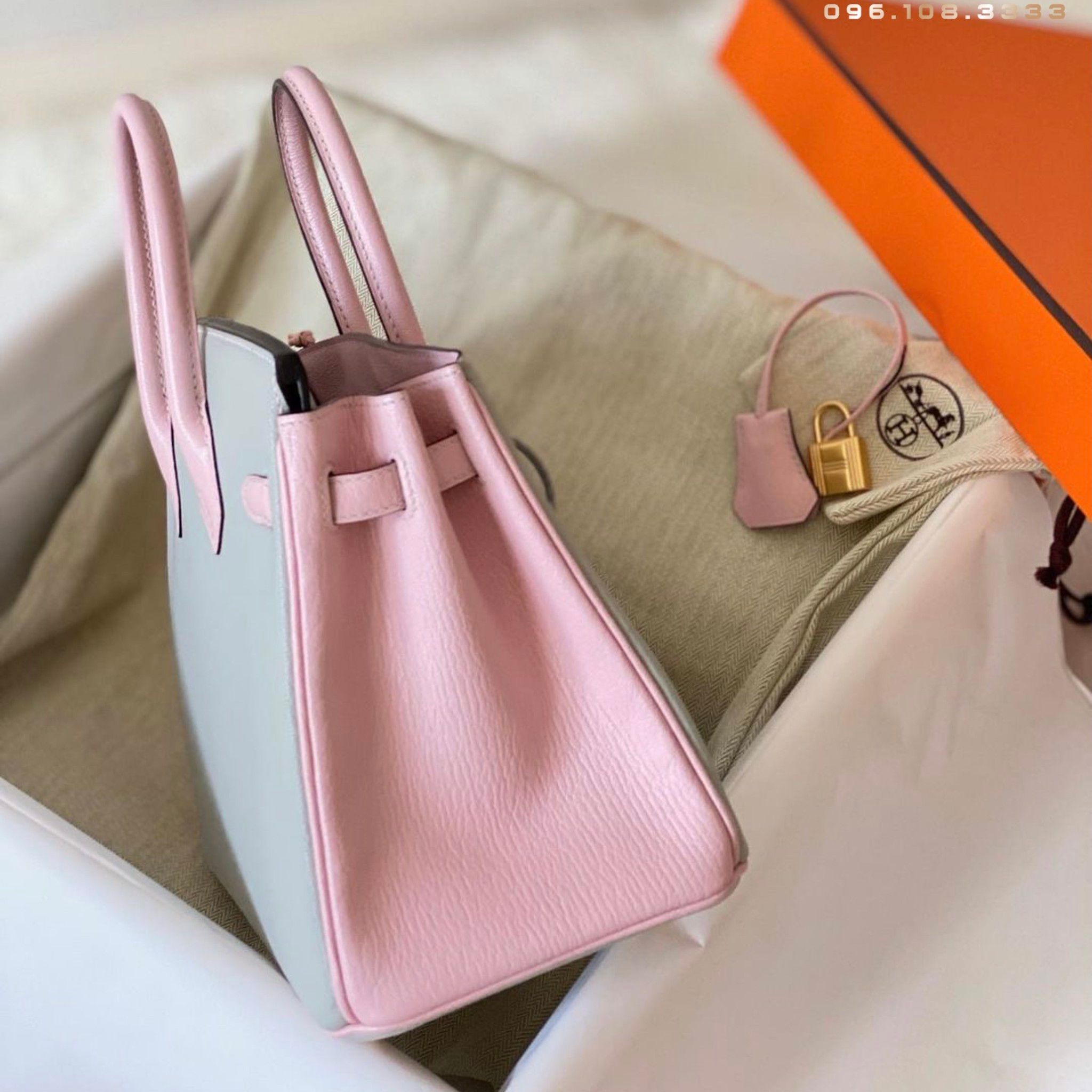 Birkin B25 Chèvre Bicolor GHW