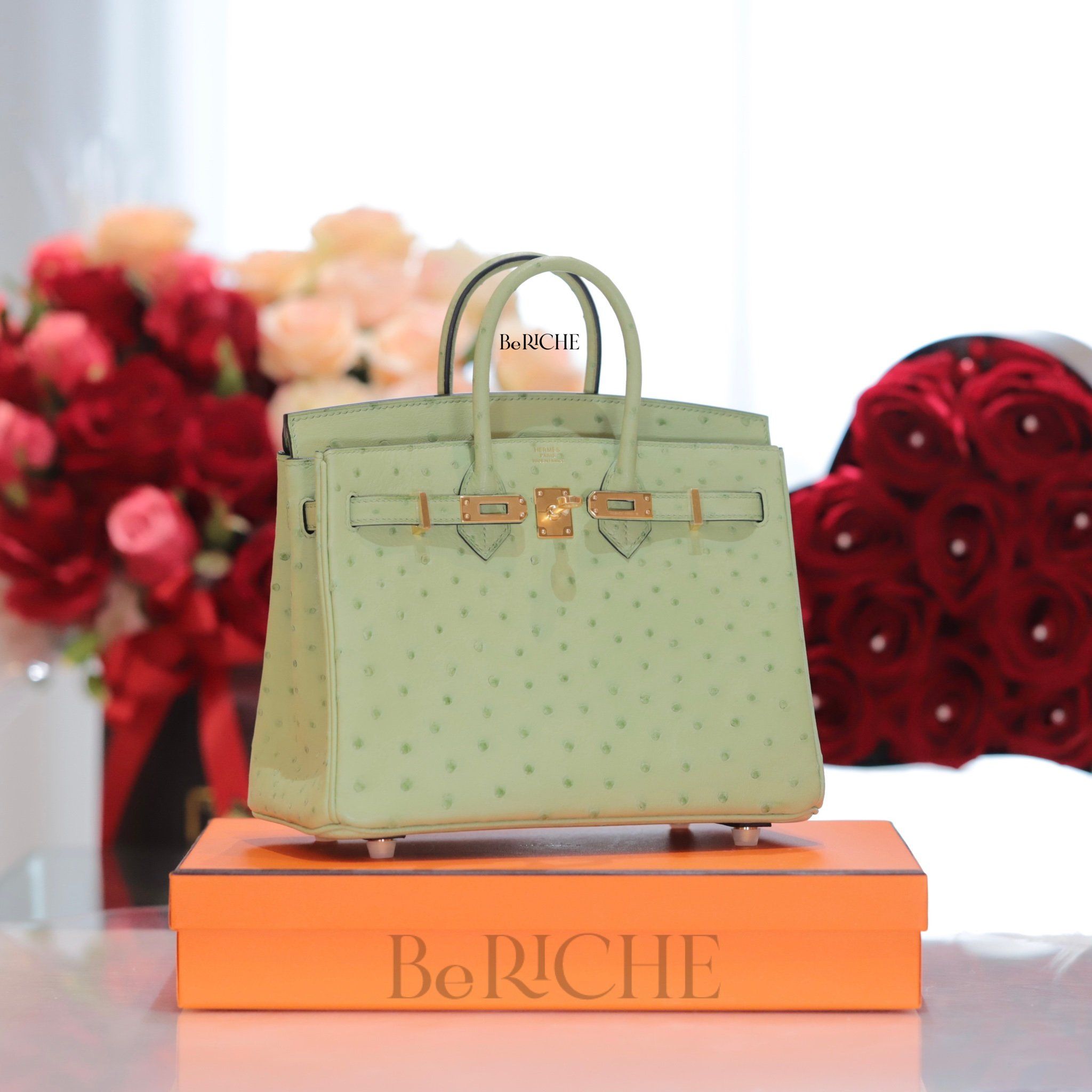 Birkin B25 Ostrich Vert Criquet GHW