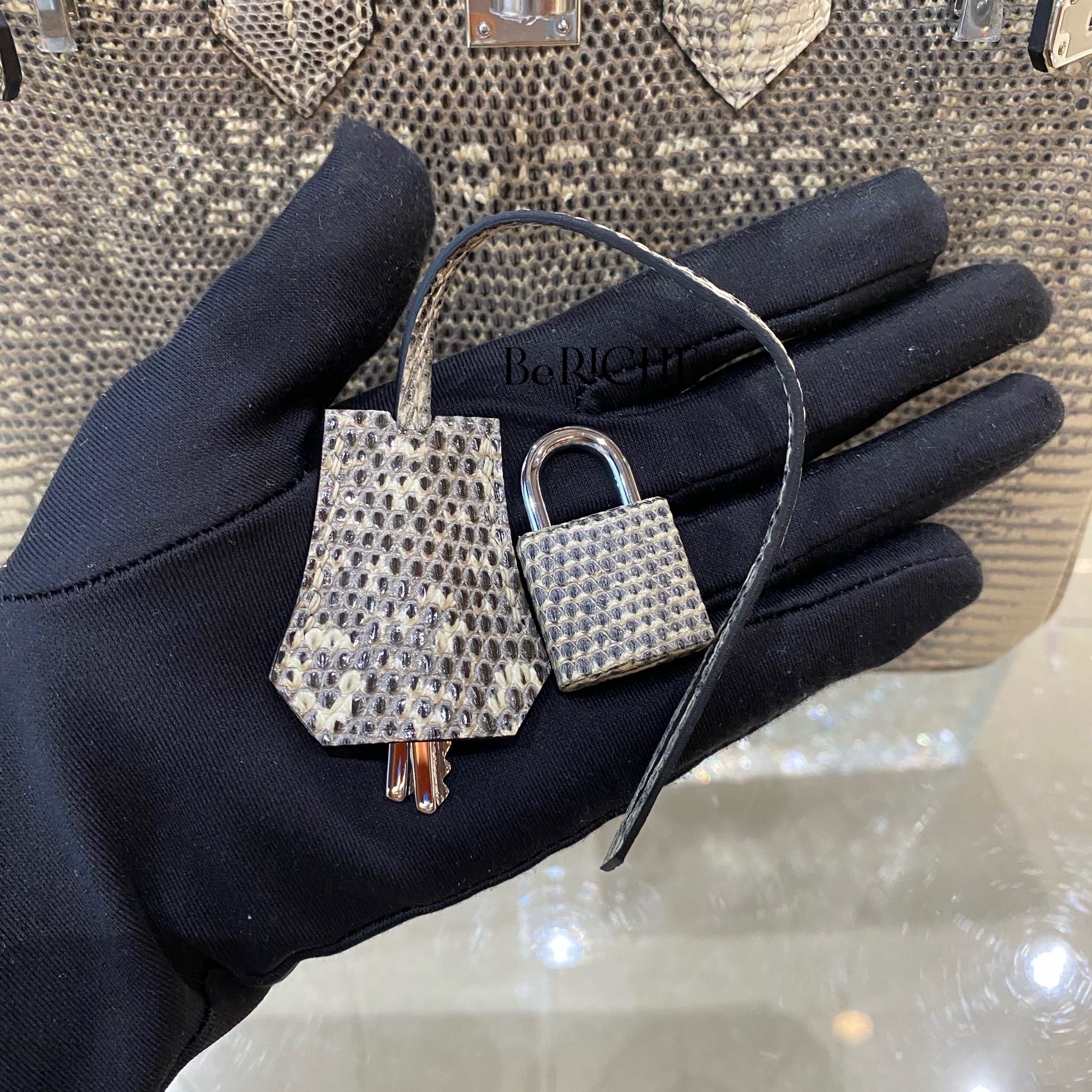 Birkin B25 Lizard Ombre PHW