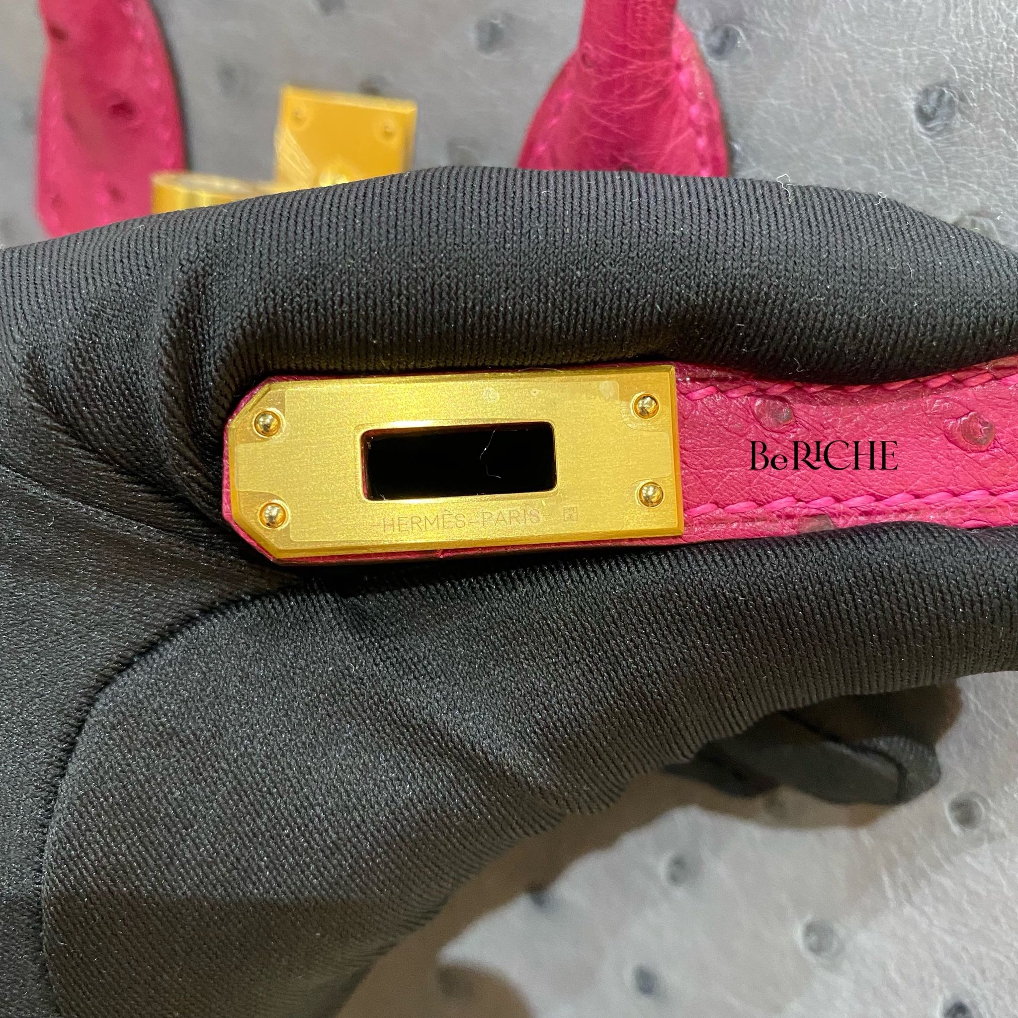 Birkin B25 Ostrich Bicolor HSS