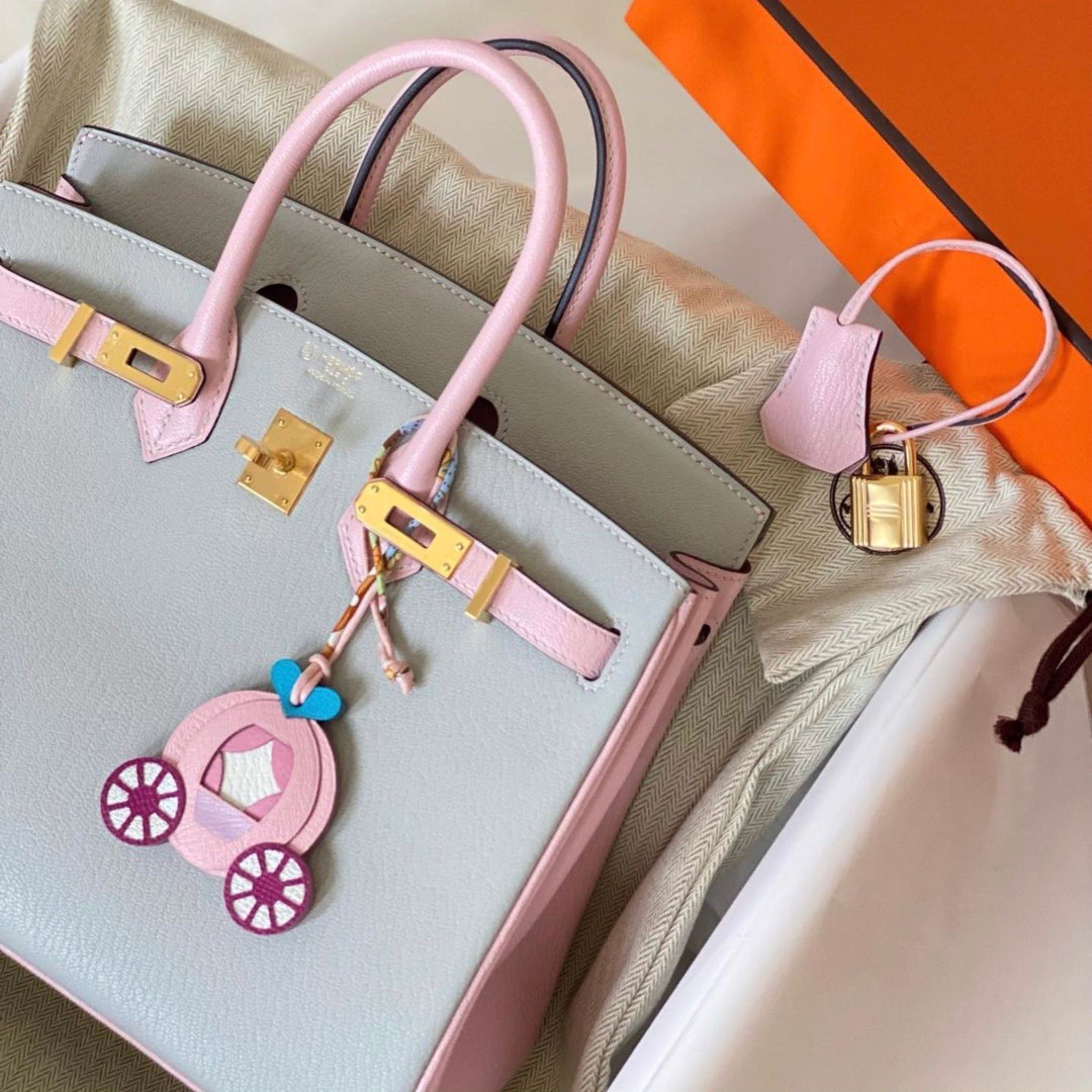 Birkin B25 Chèvre Bicolor GHW