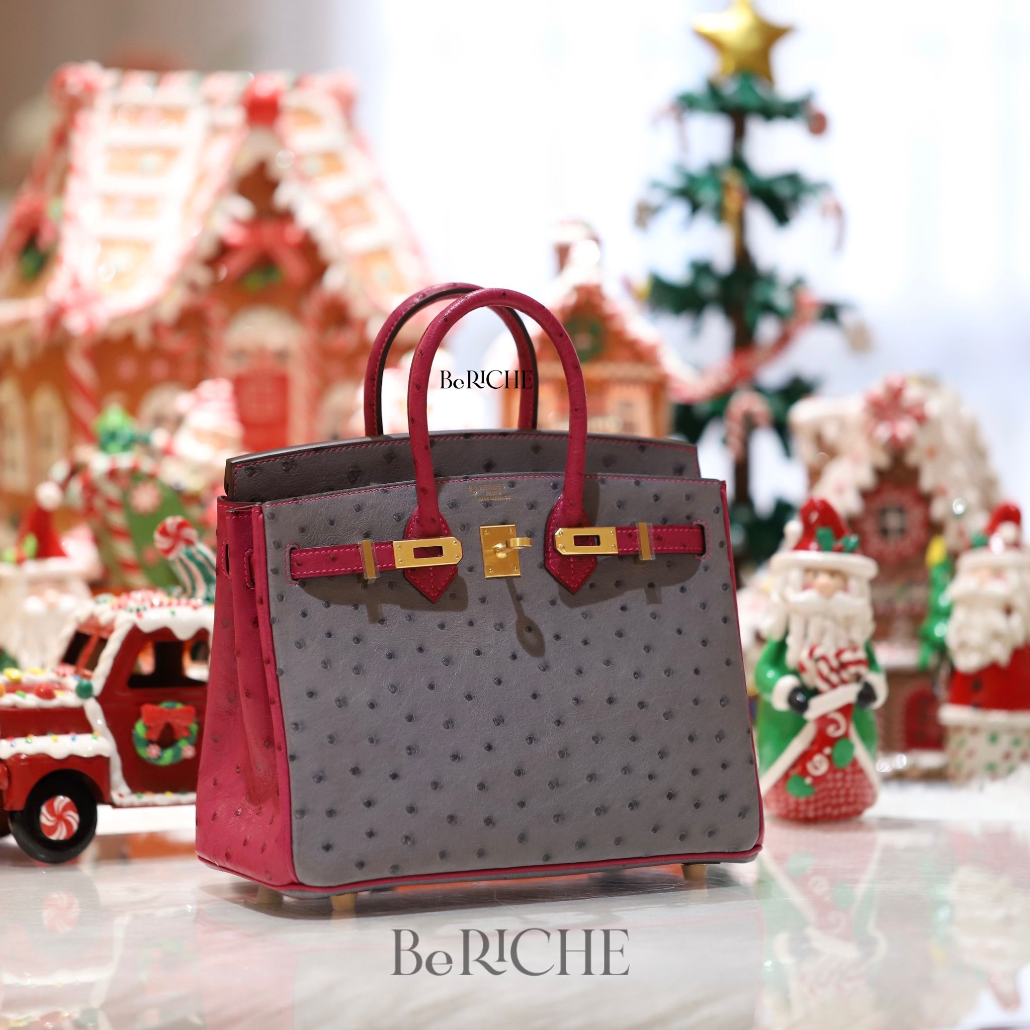 Birkin B25 Ostrich Bicolor HSS