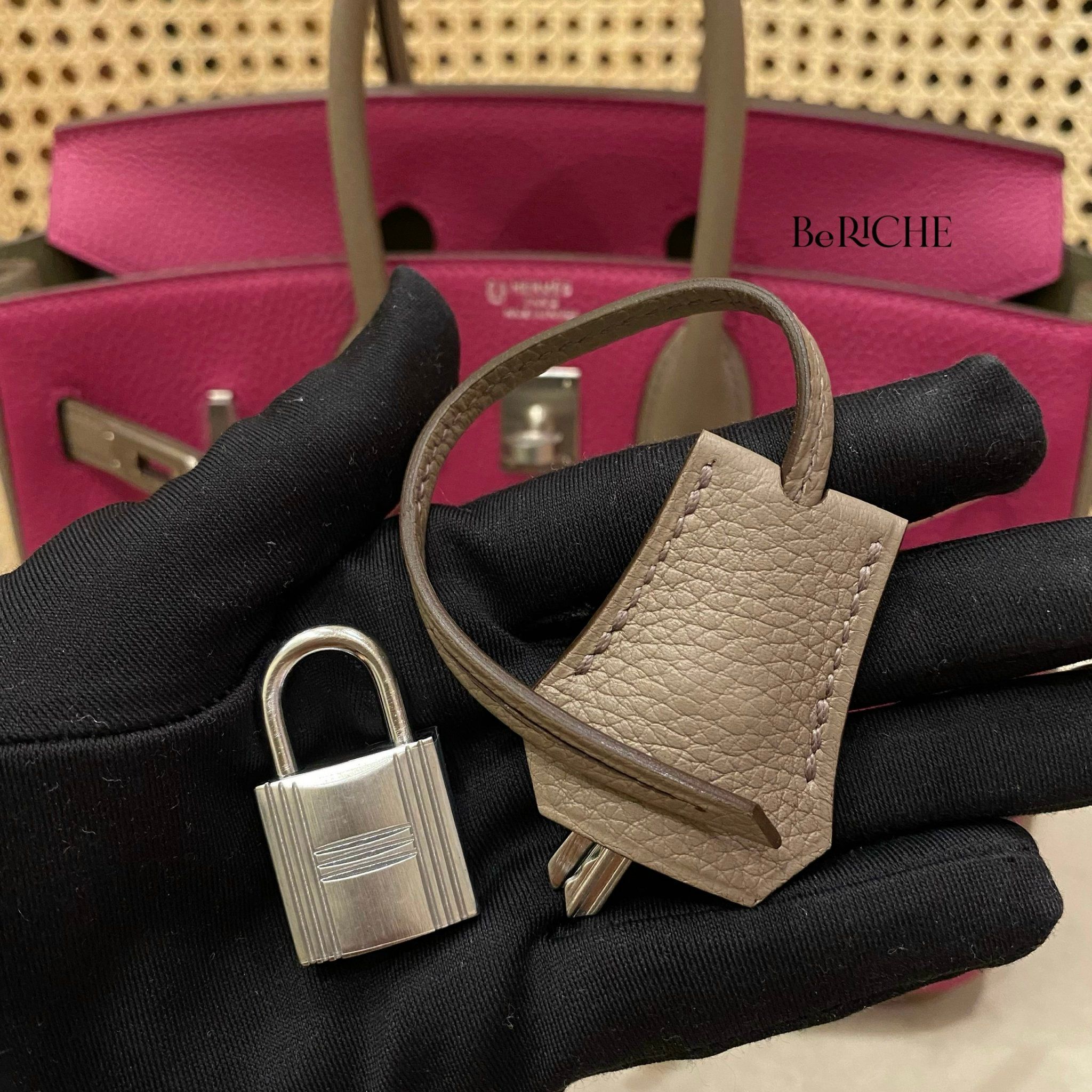 Birkin B25 Togo Bicolor Rose Purple/ Gris Asphalt Brushed PHW